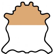 DOUBLE SHOULDER
